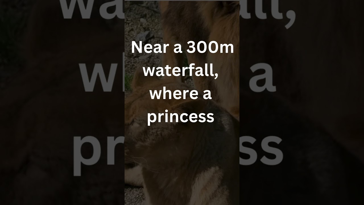 Kenyan Safari riddle10 #africansafari  #AberdareNationalPark  #africanAdventure