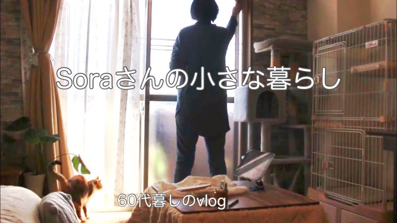 《60代ひとりと猫との暮らし》落ち着かない引っ越し準備/誕生日/段ボールの中で過ごす姫との時間　　#ひとり暮らし  #猫との暮らし 