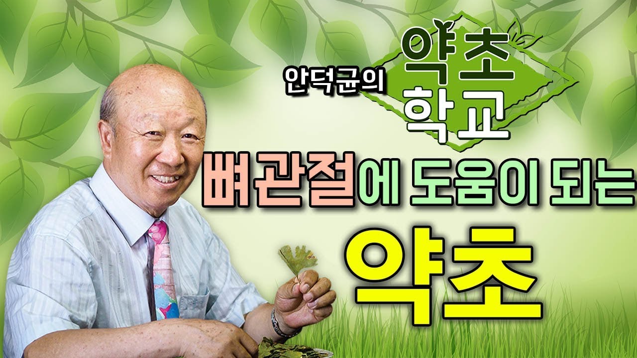 (한글자막) 뼈 관절에 도움이 되는 약초(계피, 우슬, 두충, 계수나무, 오가피)  [안덕균의 약초학교 EP.05]