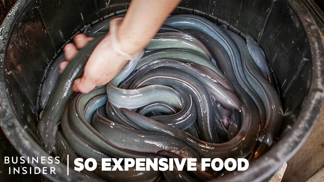 Why 4 Of The World's Priciest Seafoods Are So Expensive | So Expensive Marathon