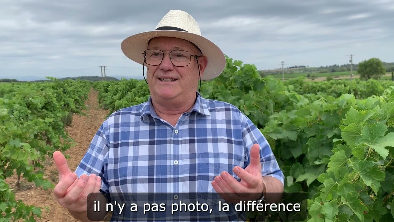 Calibration irrigation de la vigne - Côtes du Rhône Méridionales_ASA-IT3C-24 Juillet 2023