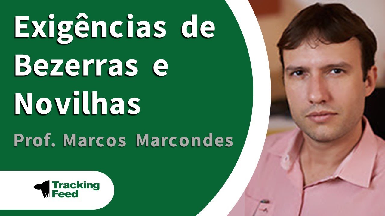 Maratona NRC 2021 - NASEM - Exig&ecirc;ncias de Bezerras e Novilhas, com Prof. Marcos Marcondes.