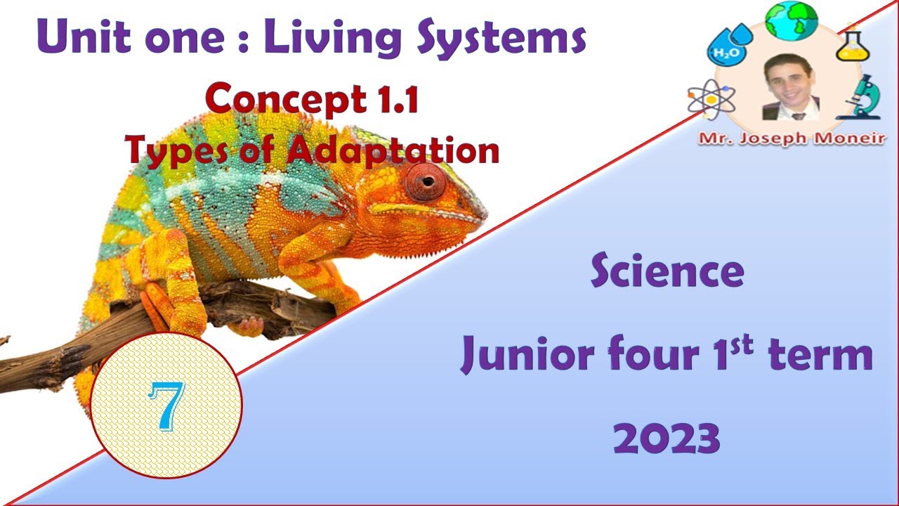 (7) Concept 1.1 : Adaptation and Survival -  Types of Adaptation - Adaptation  in Panther Chameleon