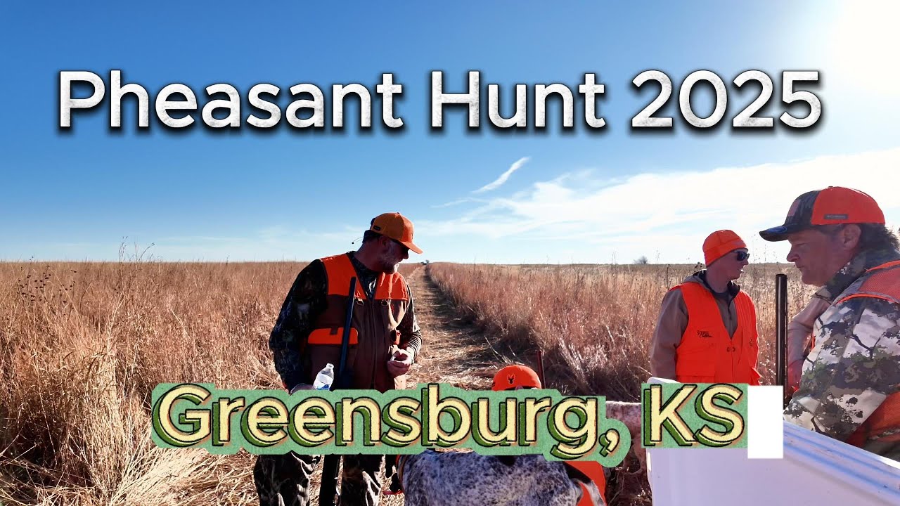 Kansas Pheasant Hunt 2025 Upland Inn Hunts Experience