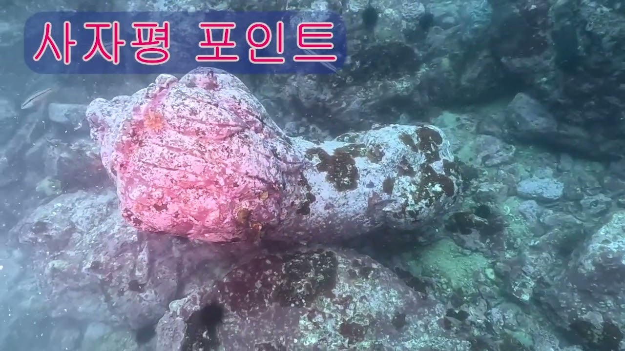 2026년 2월 23일