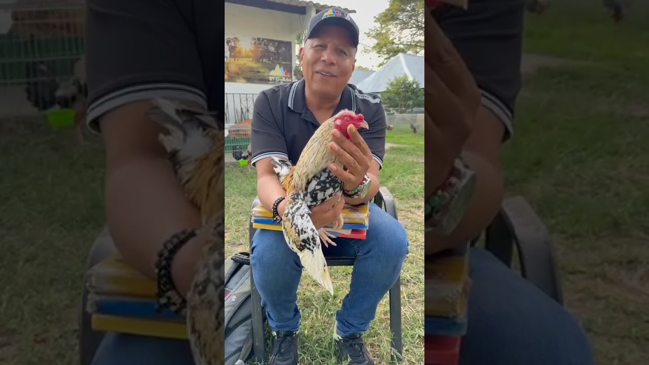 ✅️FABIO RODRIGUEZ NOS CUENTA LA HISTORIA DEL GIRO PINTO PADRE DEL CAMINANTE CONOCE LA HISTORIA ✅️🇨🇴
