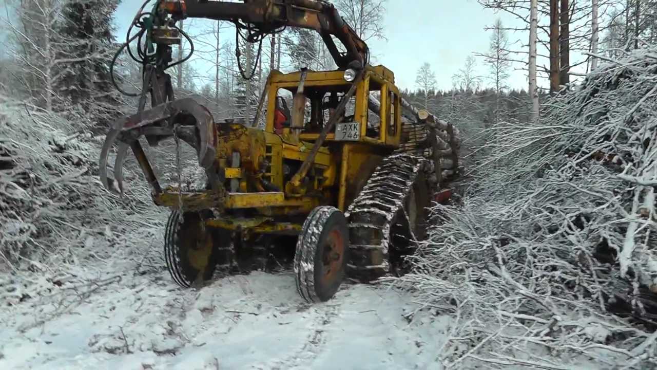 Vmv forest boxer at work 7/8