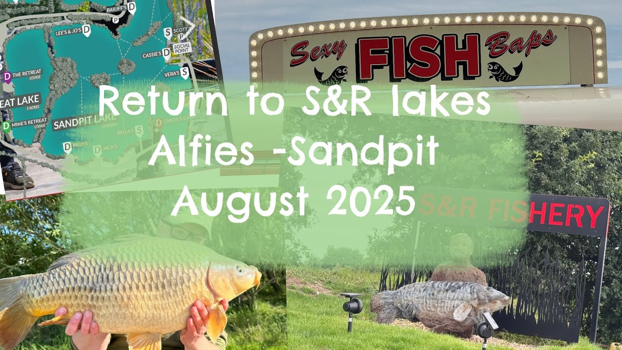 S&R Lakes - Alfies Peg Carp Fishing summer 2025