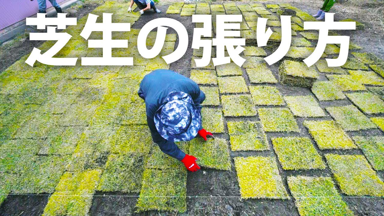【DIY】素人でも張れる！芝生の張り方【高麗芝30平米】#10
