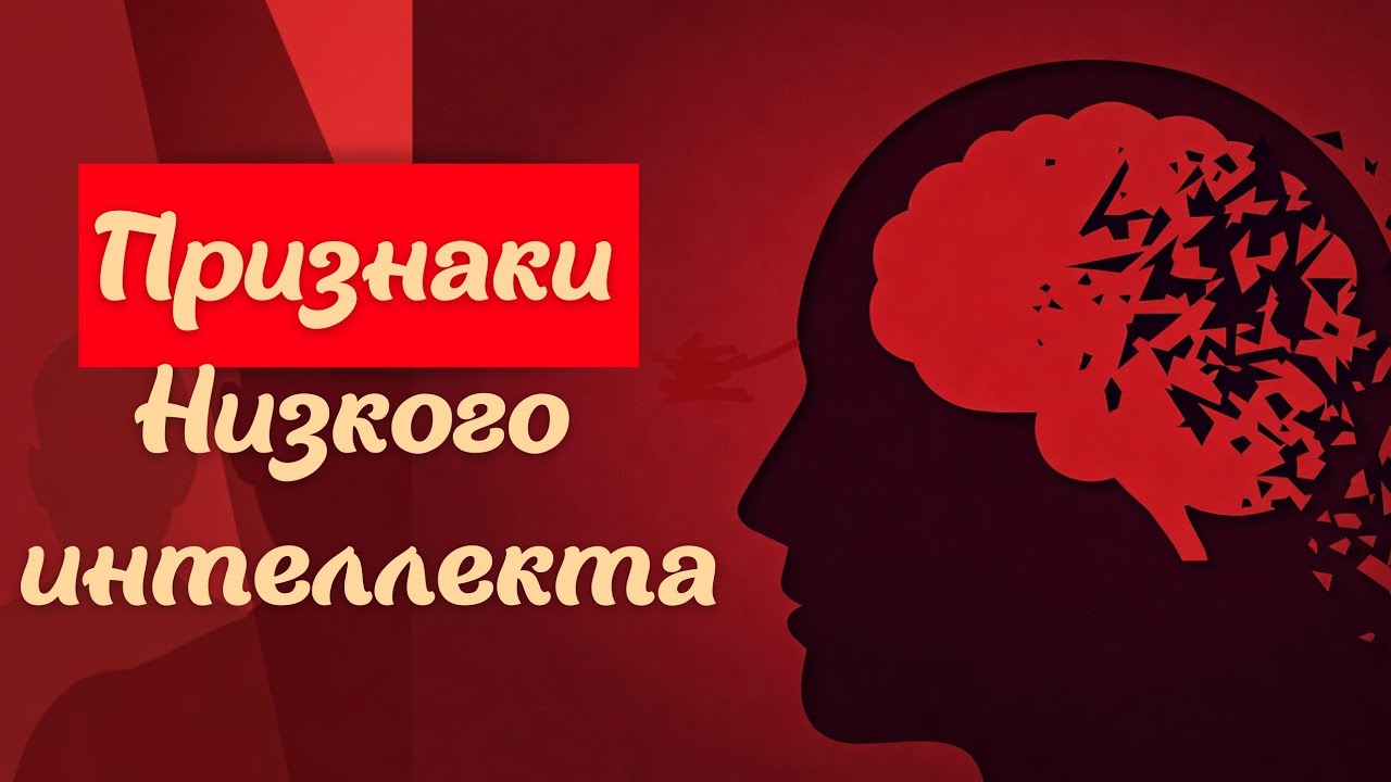 Привычки, которые выдают низкий интеллект | Уровень мышления без тестов