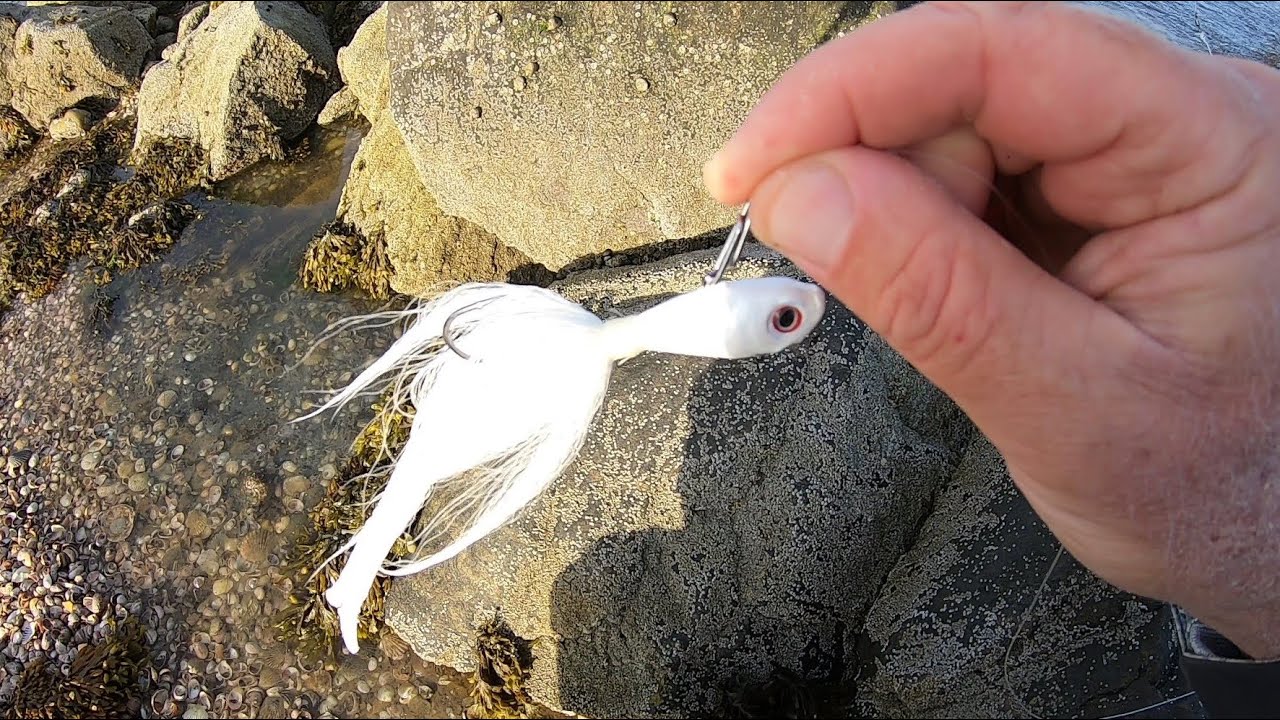 Wish I Had Fished This Lure Sooner!