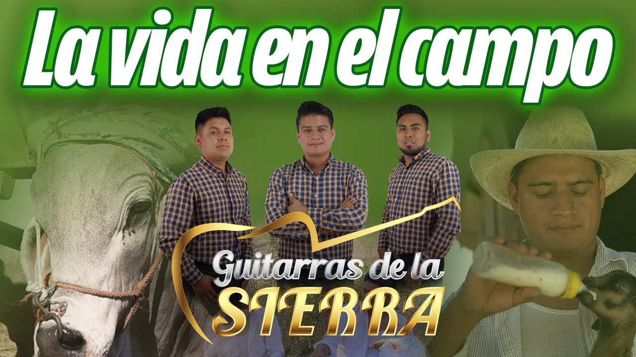 La vida en el campo | Guitarras de la Sierra | Vídeo oficial