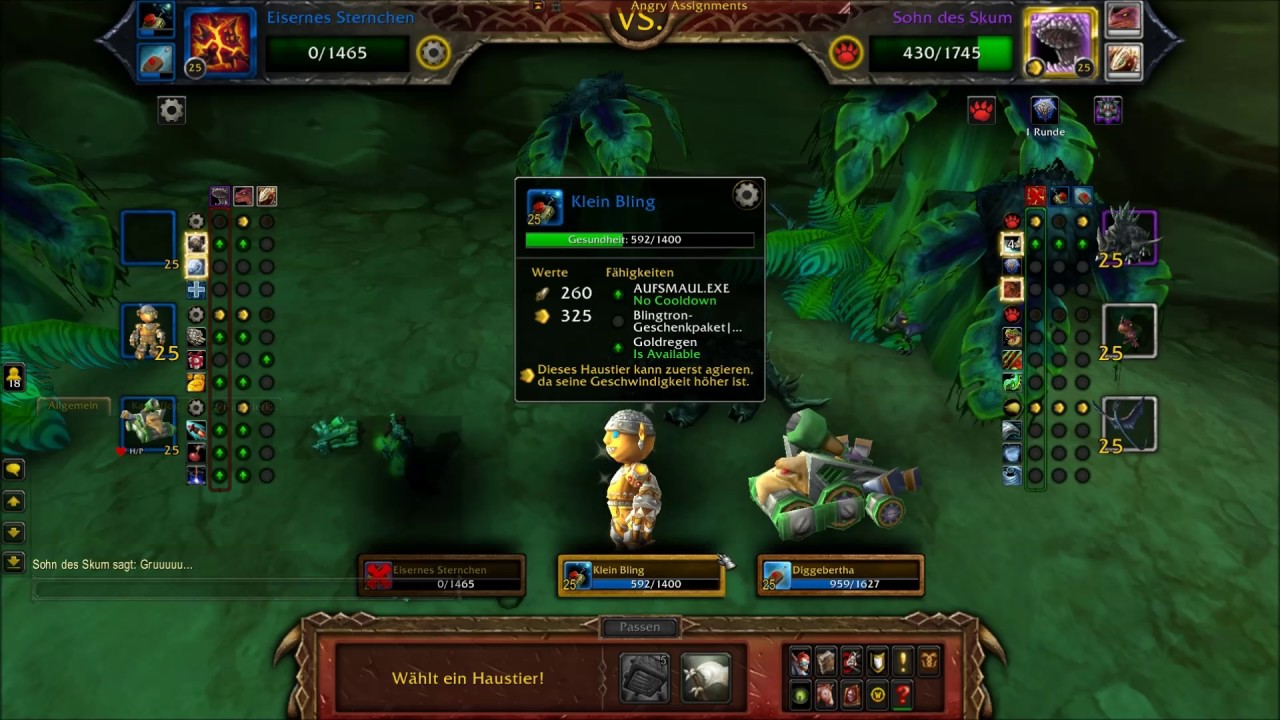 Haustierkampf Dungeon HDW Kompletter Guide