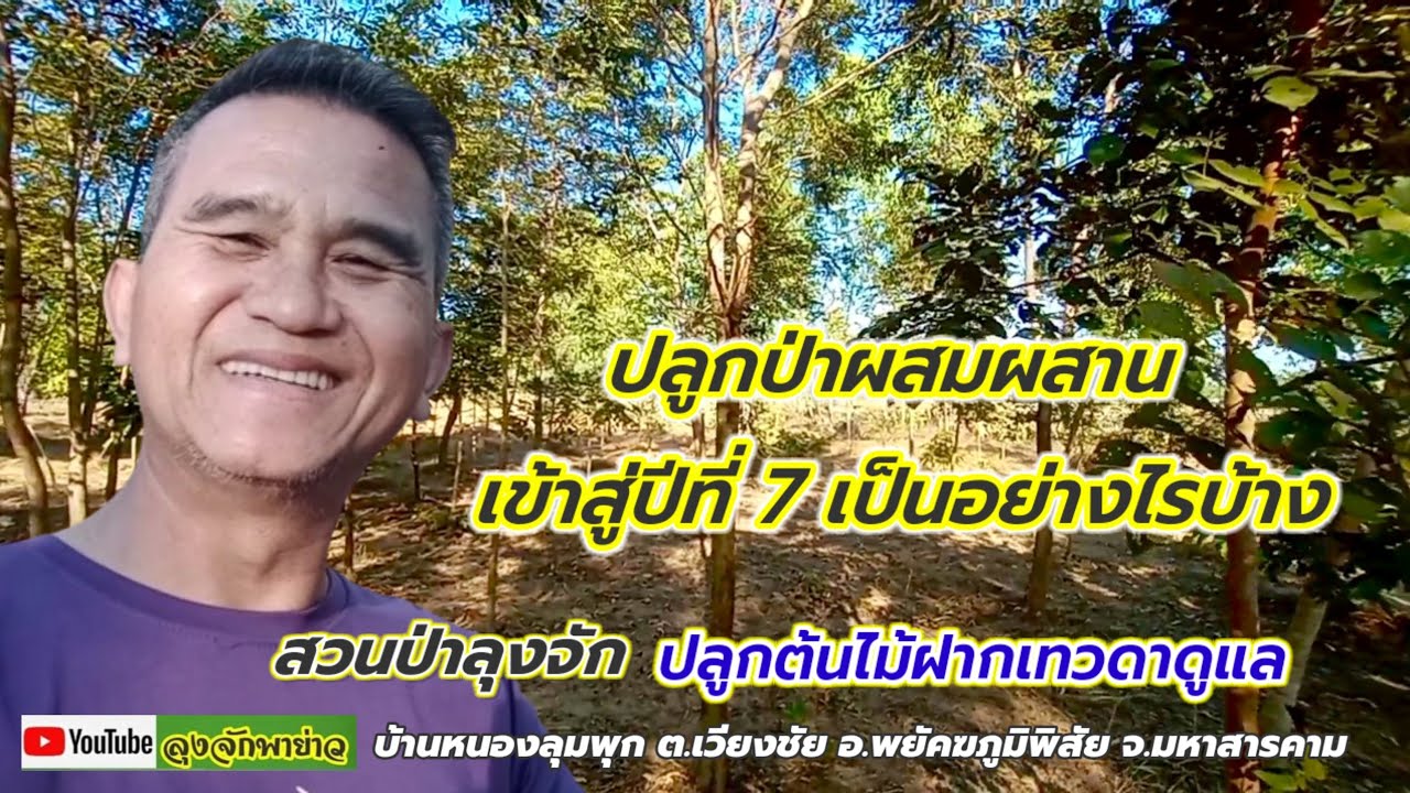 ปลูกป่าผสมผสาน ฝากเทวดาดูแล ย่างเข้าสู่ปีที่ 7 เมื่อความแห้งแล้งเข้ามาเยือนอีกครั้ง เป็นอย่างไรบ้าง