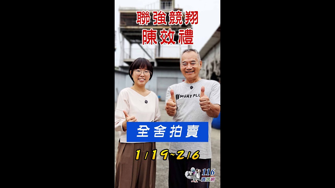 【陳效禮全舍拍賣】雙船總冠軍🏆+彼特米衛家族，1/19-2/06就在116賽鴿網