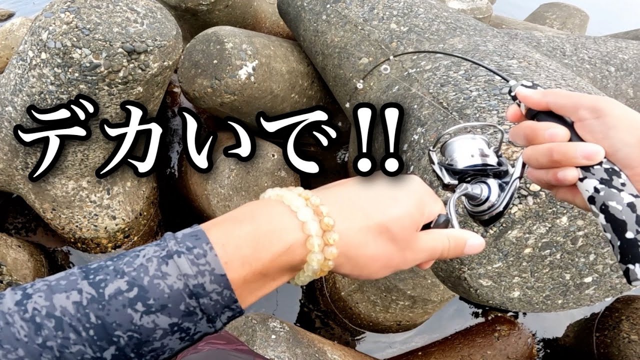 デカいで!!引きがエグい！【穴釣り】