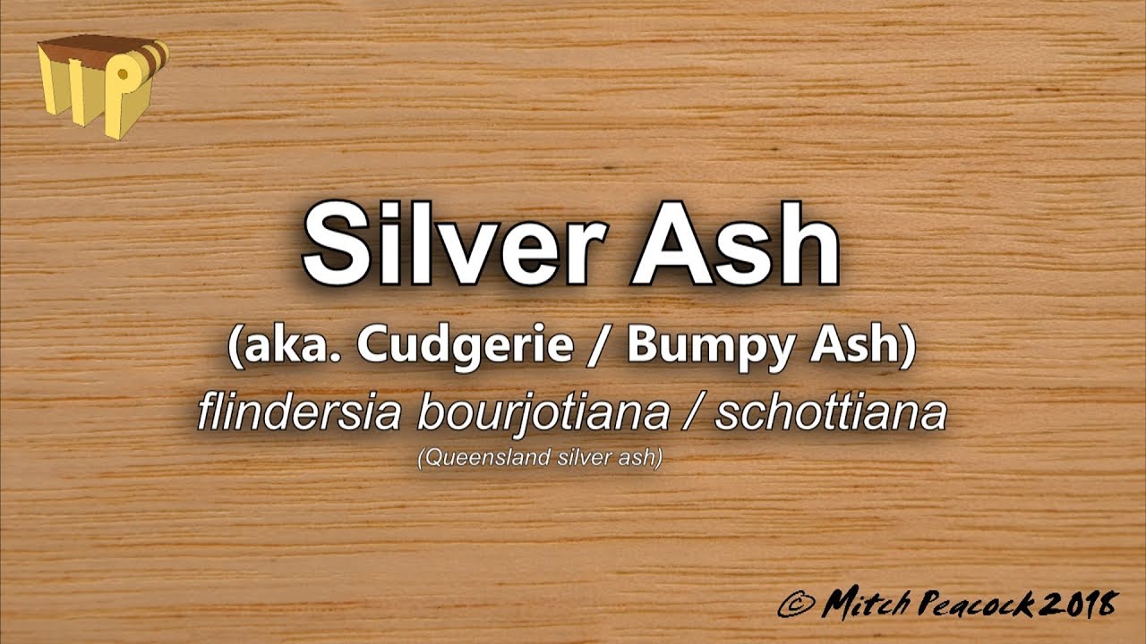Silver Ash (flindersia bourjotiana/schottiana) - Mitch's World of Woods