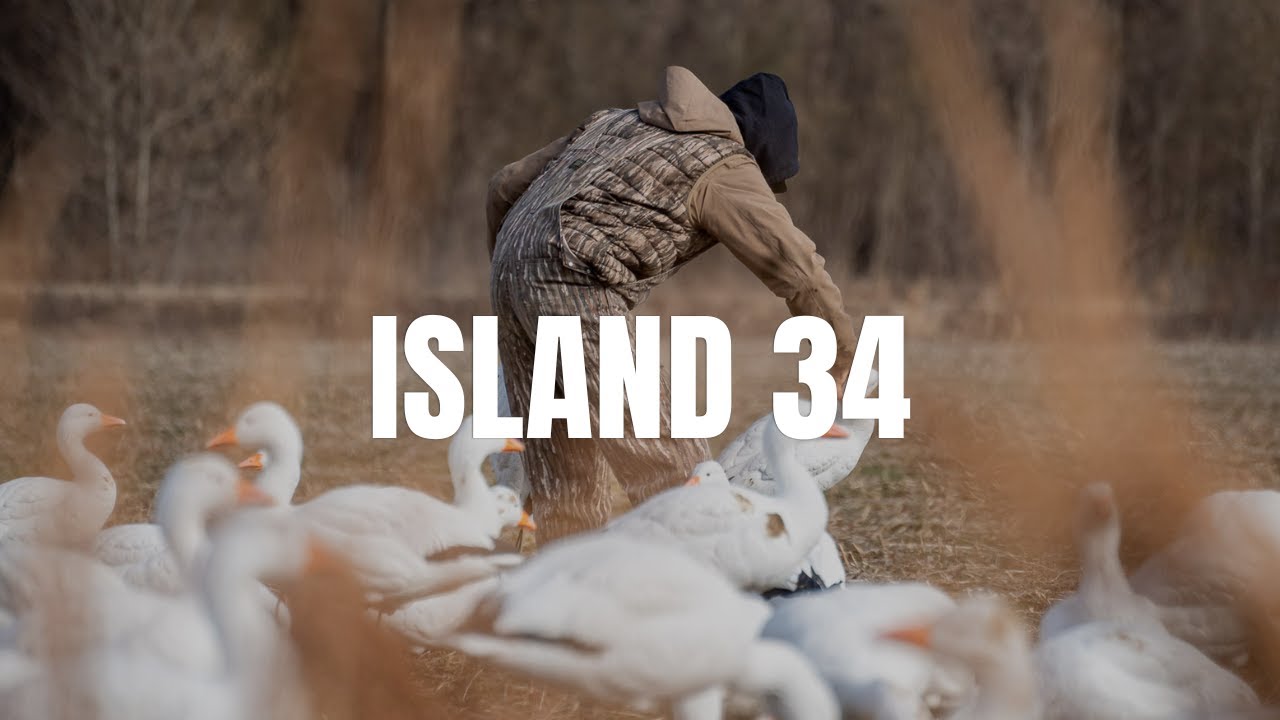 Snow Goose Hunt at Island 34 | Mississippi River Feeds