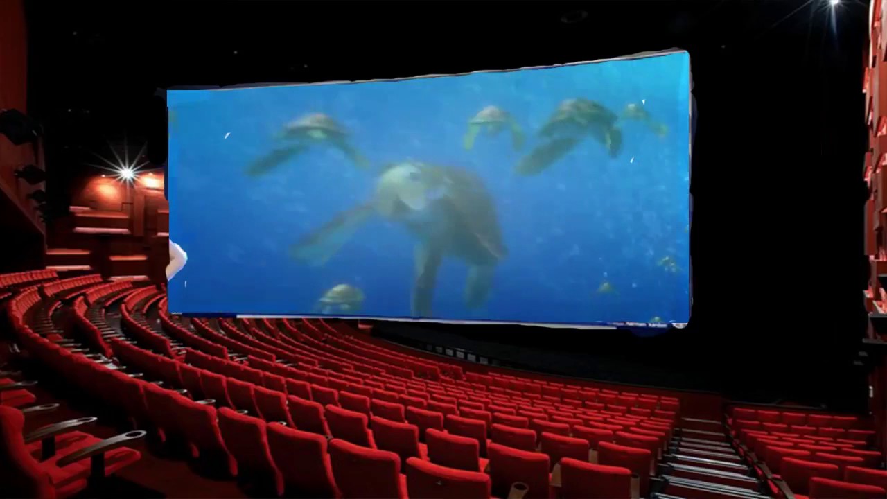 79d_8.mp4 Alla Ricerca di Nemo [HD] 2003