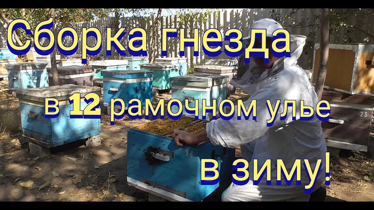 Собираю 12 рамочный улей на зиму.Немного о пчелопакетах.