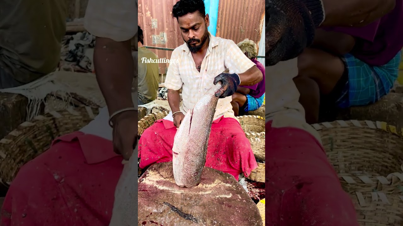 Kadora fish cutting video/fishcuttingrs#fish #kasimedu #fishcuttingrs