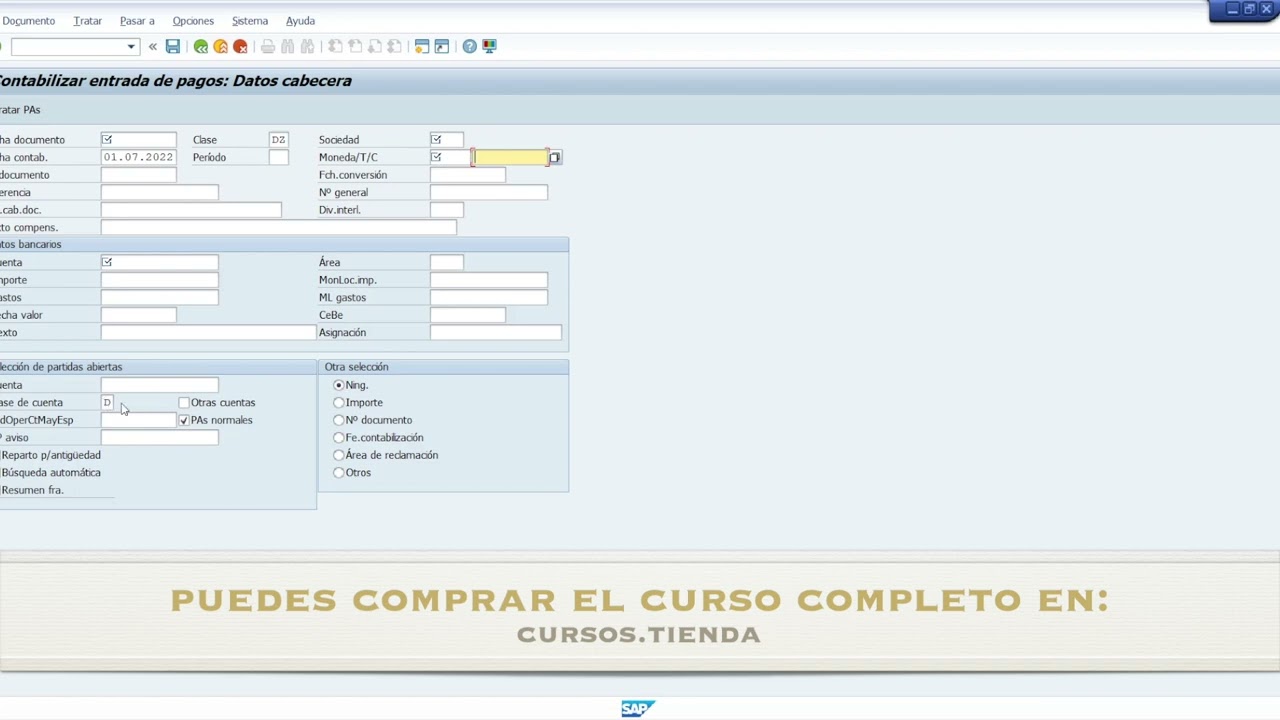 SAP Finanzas - Tema 10 Procesos y operaciones de cobranza VI