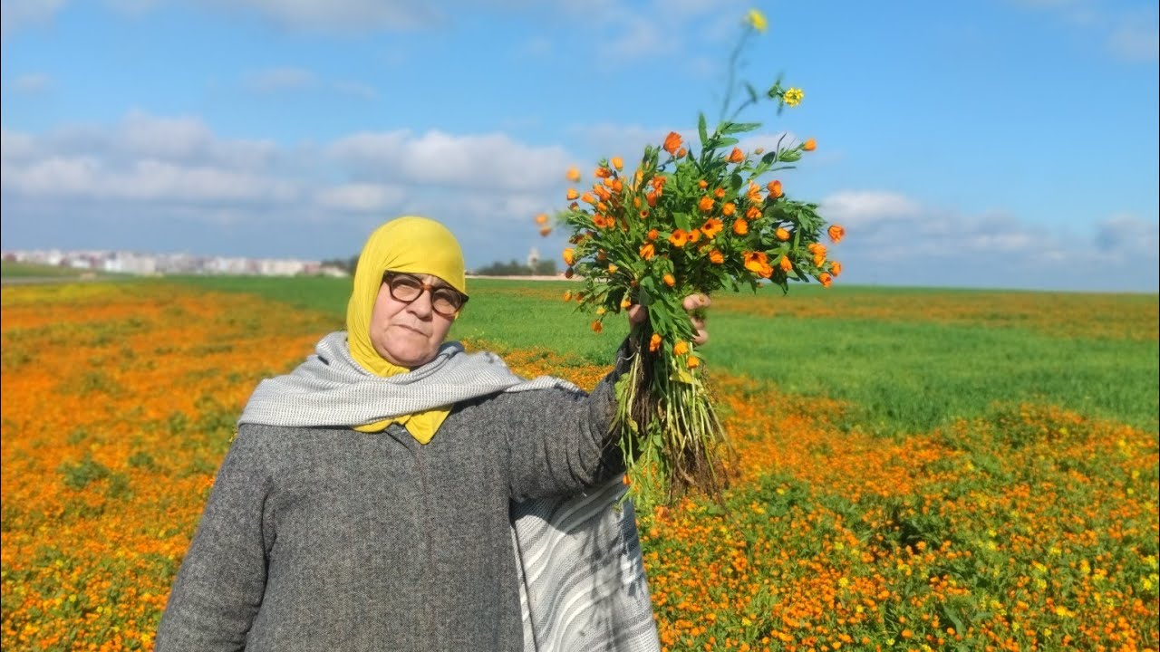 11 février 2026شركت معاكم الطبيعة الجميلة في أولادسعيد