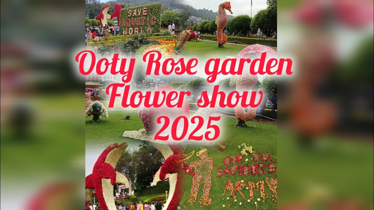 OOTY Rose garden, Flower show 2025