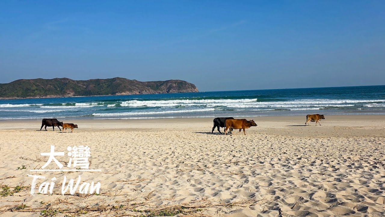 (香港郊遊) 西貢大浪灣 大灣, Tai Wan, Tai Long Wan, Sai Kung, Hong Kong, 4K