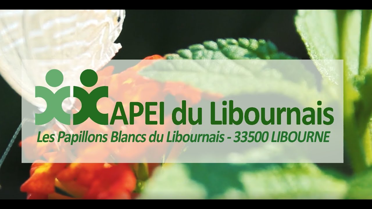 Pr&eacute;sentation APEI  du Libournais