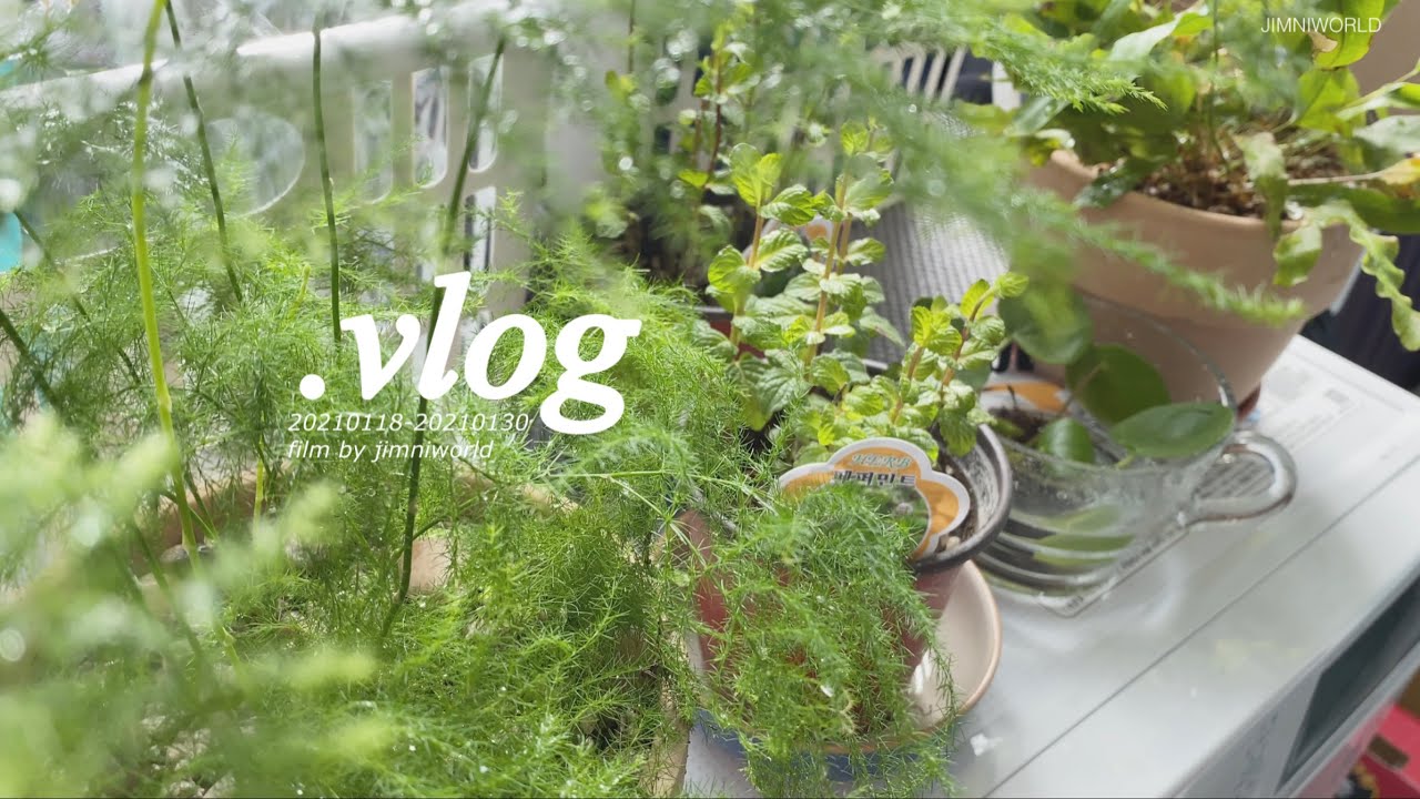 vlog 세종수목원 투어 | 반려식물 | 쉽겟 쇼핑 언박싱 | 책발전소위례 | 디톡스 하다가 포기하는 일상💦