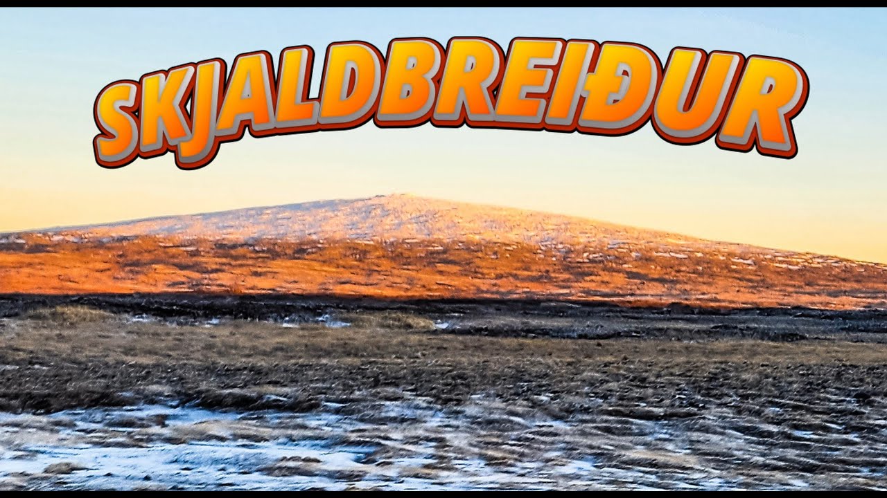 Skjaldbreiður 11.1.2026