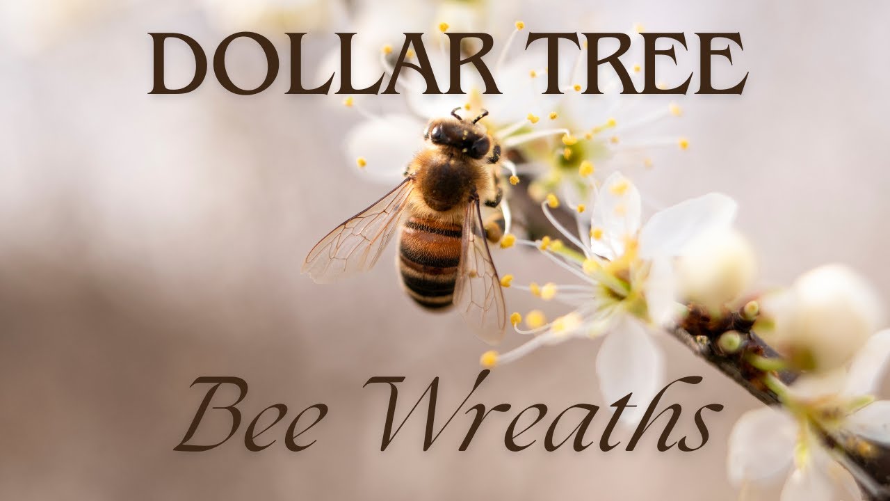 Quick and Easy Dollar Tree Bee Wreaths | Jetersblessings