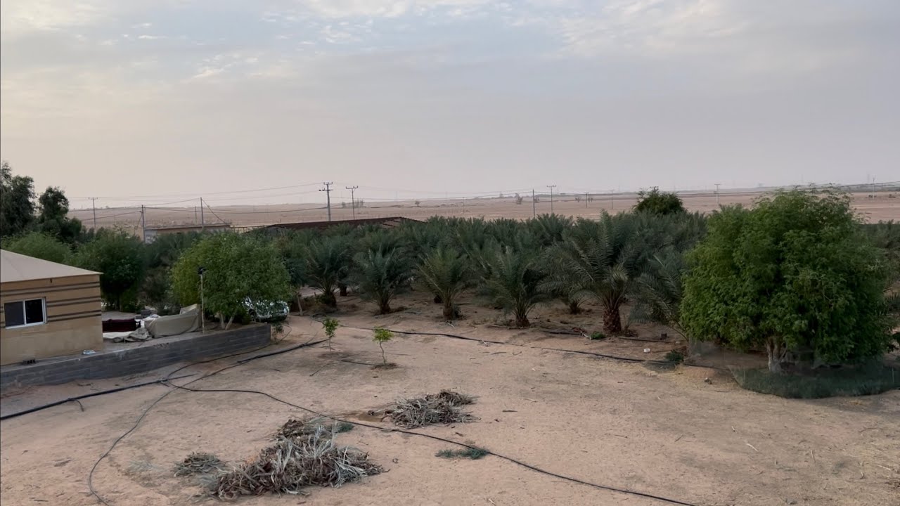 كسر الروتين وتغيير جو وهدوء خاص - يوم كامل في المزرعة