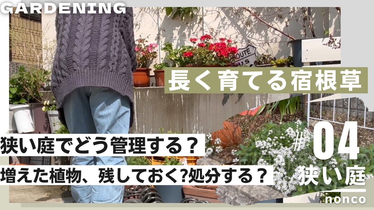 【小さな庭のガーデニング】4月の庭。狭い庭で毎年楽しむ宿根草　#ガーデニング #gardening    #園芸初心者