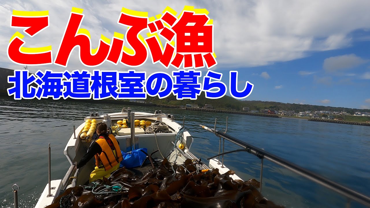 【漁師の世界】家族総出のこんぶ漁！海底のこんぶをどうやって採るの？ラッコにアザラシにユルリの崖、貴重映像満載| 第二十五公盛丸 #Fisherman【道東田舎暮らし】根室市 | 昆布盛