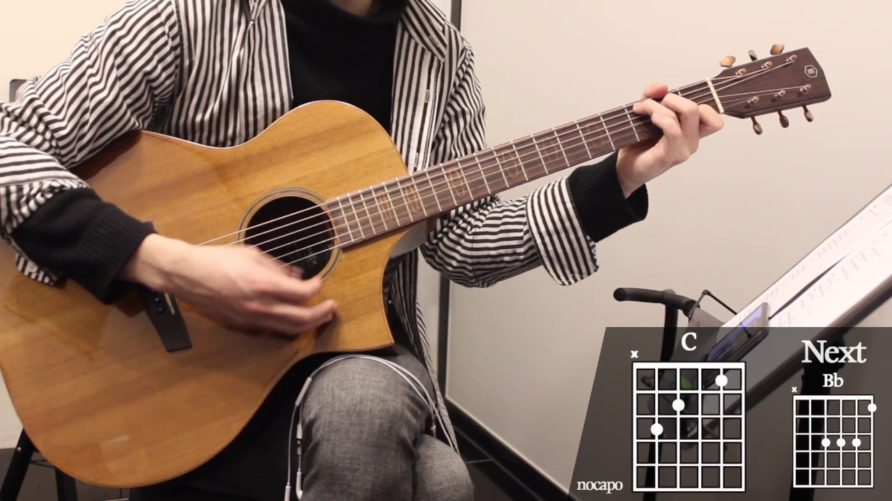 Lies - Glen Hansard & Markéta Irglová Guitar Cover for Beginner Playing by [Musicdrawing]