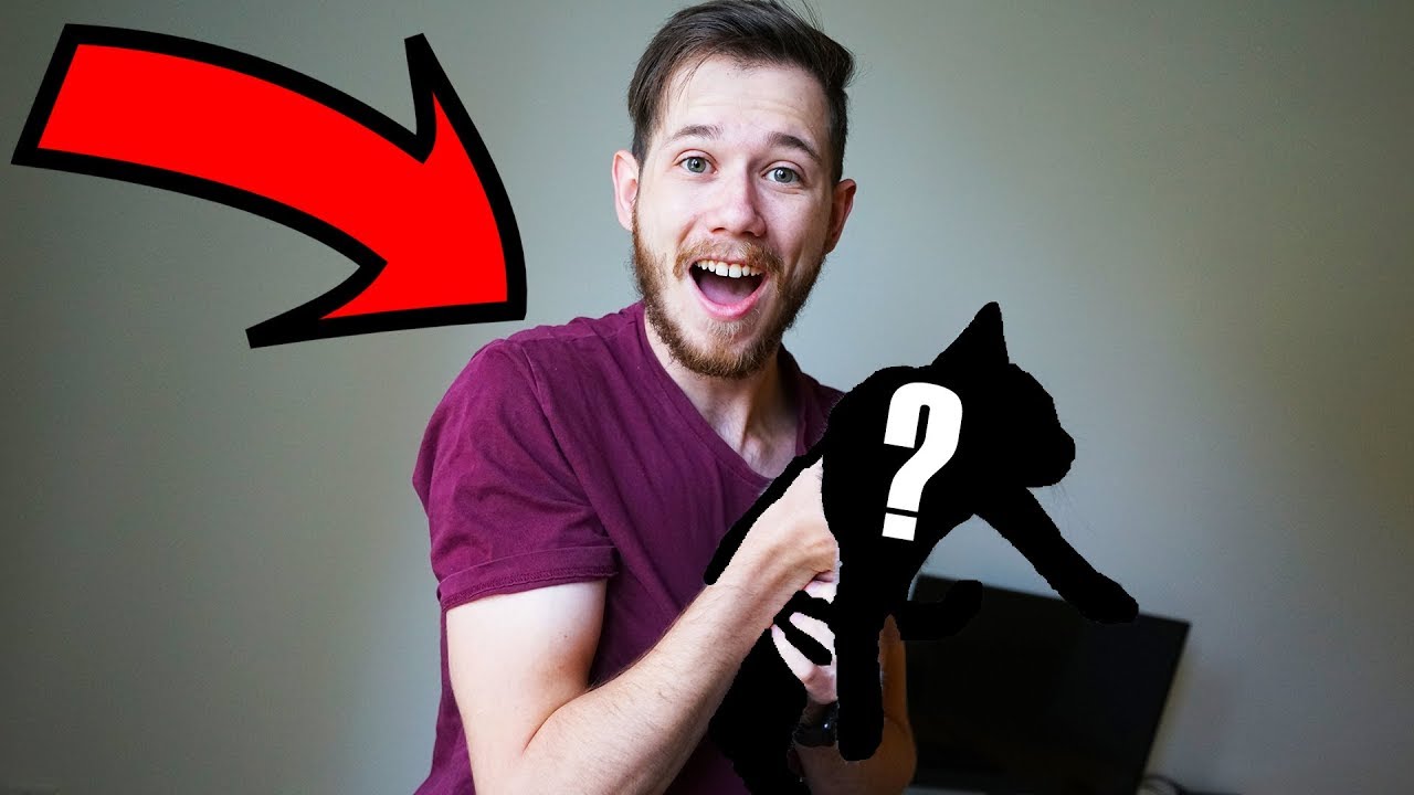 Paul's New Family Member!