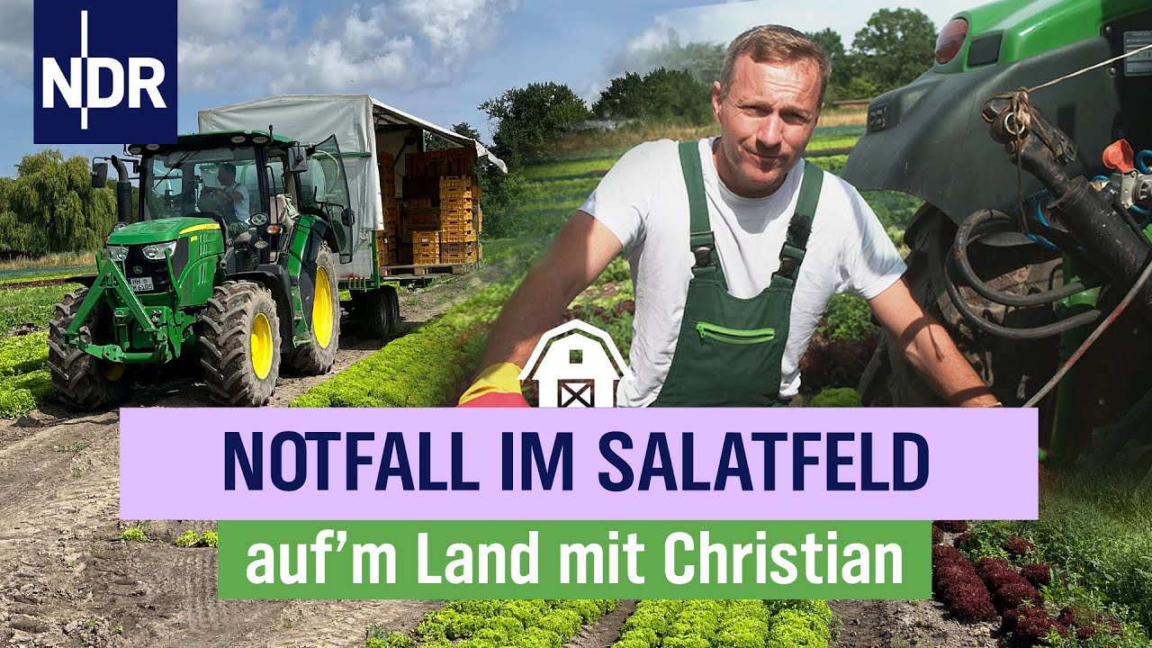 Die Zapfwelle beim Trecker streikt – und das mitten in der Ernte... | Folge 10 | NDR