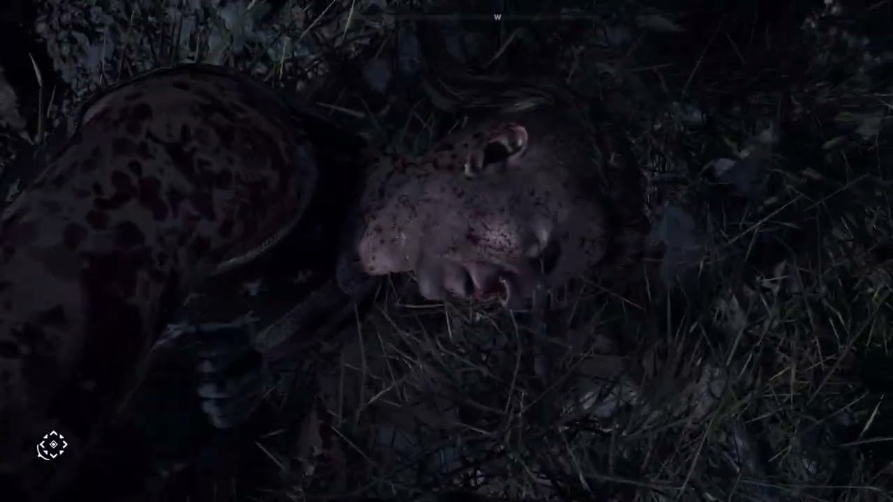 Far Cry 5 2026