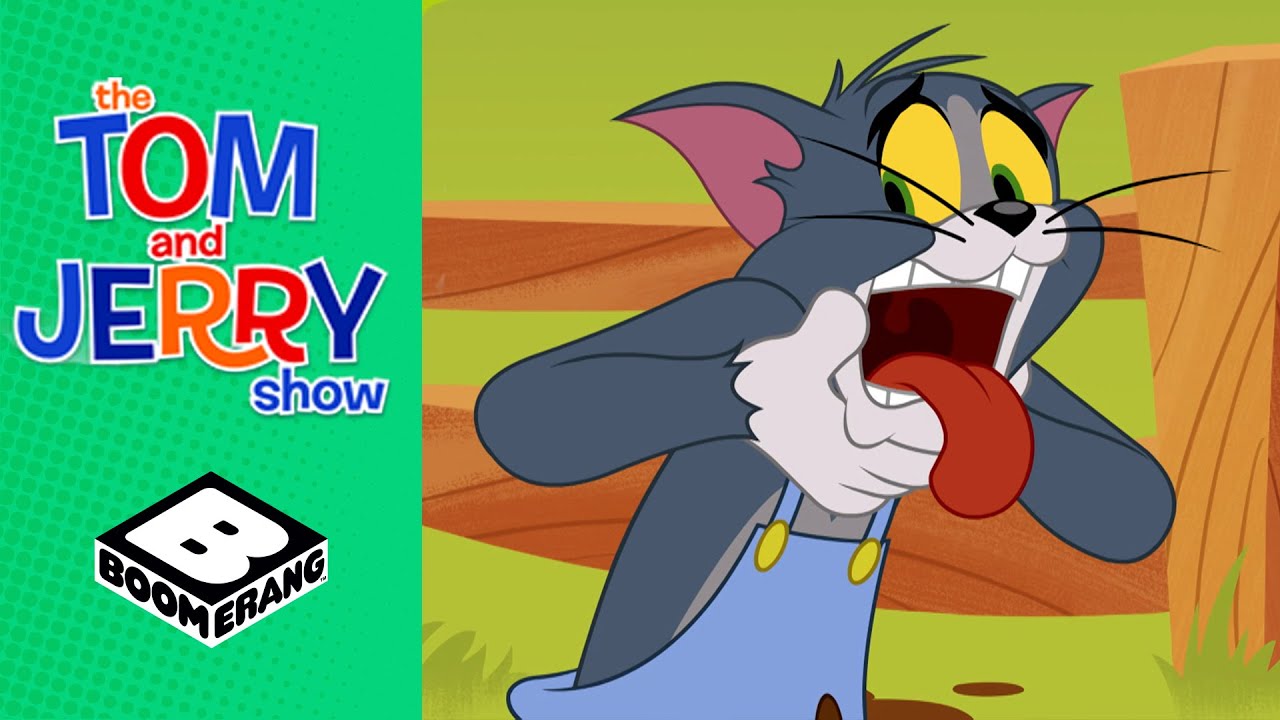 A Wild Pig Chase | Tom & Jerry Show | Boomerang UK