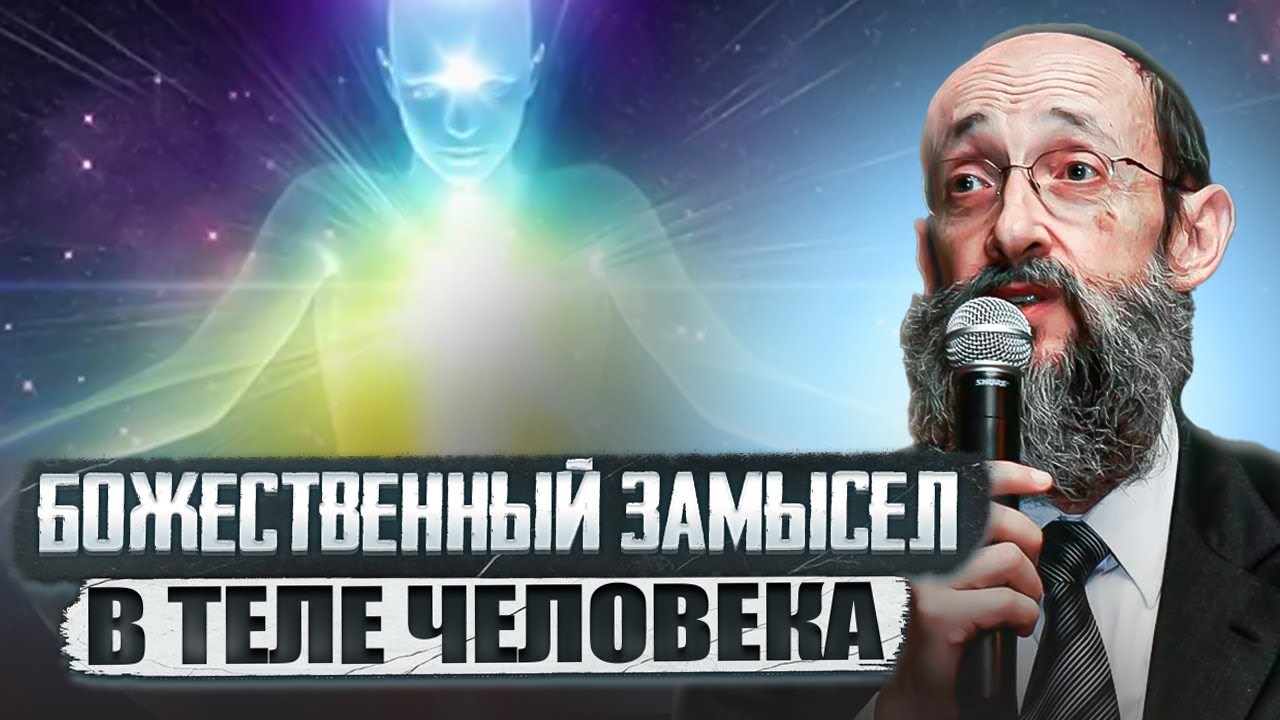 Божественный замысел в теле человека. Рав Ашер Кушнир