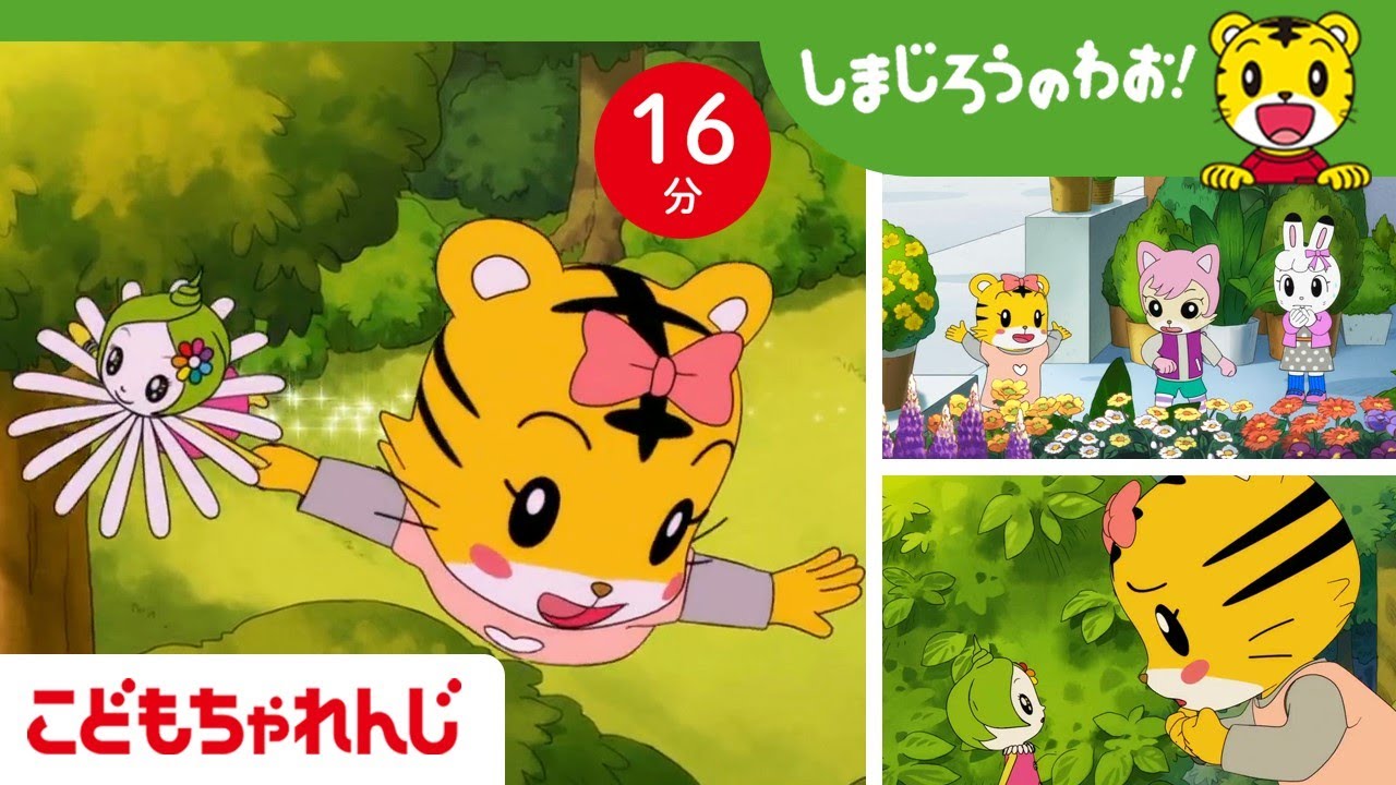 【16分アニメ】お花がよみがえる！？ふしぎな妖精と はなちゃん  | 生き物・お花 | しまじろうのわお！アニメ | しまじろうチャンネル公式
