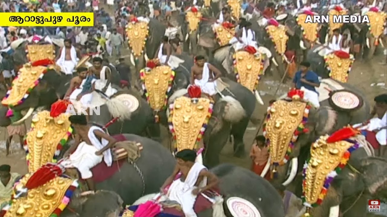 75 Elephants Returning after Arattupuzha Pooram 2018 LIVE