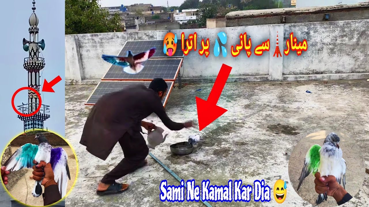 2-Pakre🕊️ Sami Ne Minar Say Utar Lia 😃