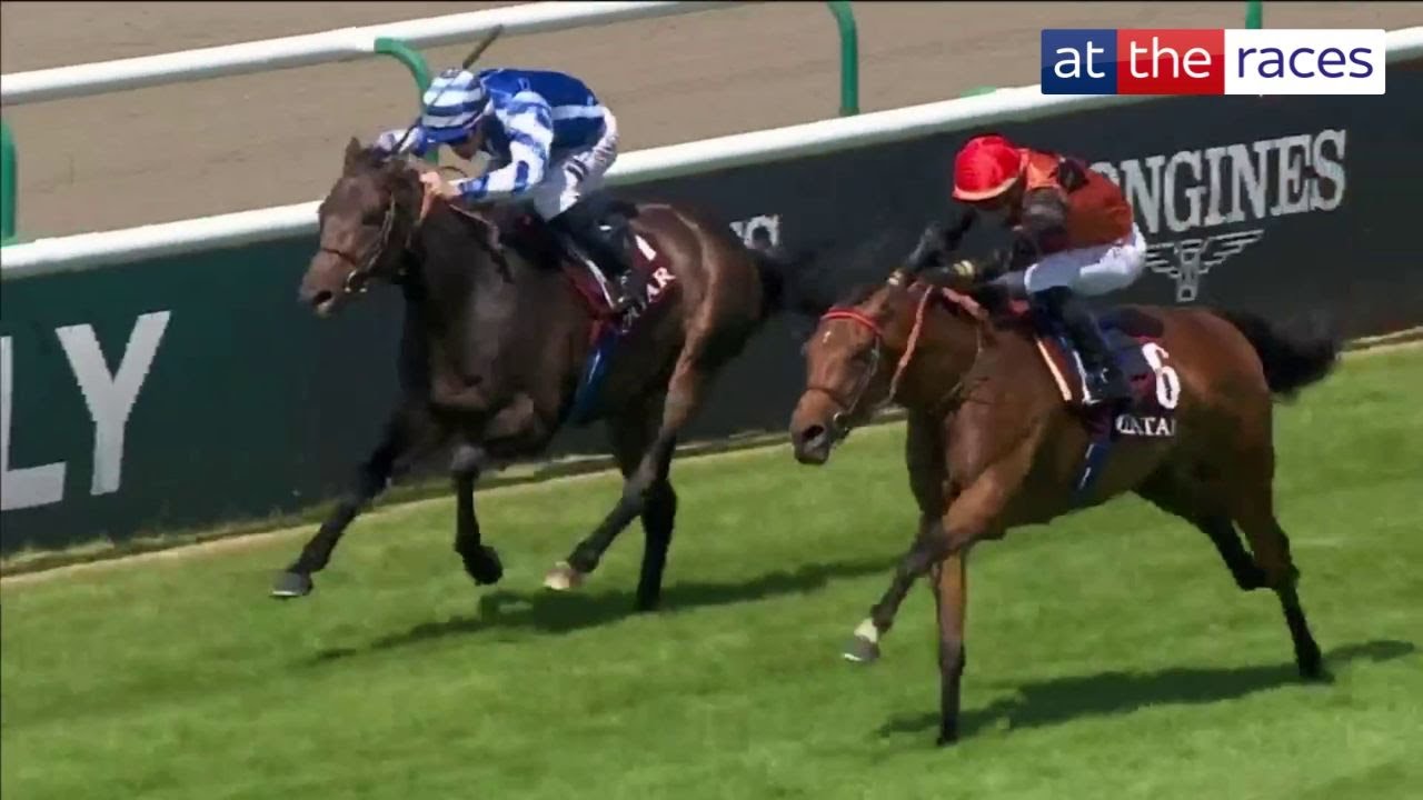 Wow! Ace Impact is INCREDIBLE in the French Derby at Chantilly!
