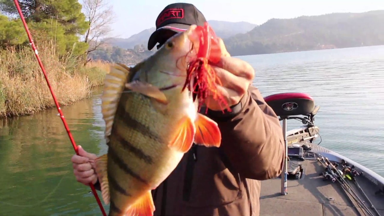 HART // ¿SE PUEDE USAR UNA SPINNER COMO UN JIG? MANOLO TWIN SPINNER