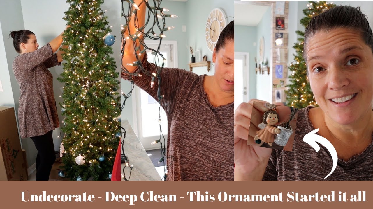 Lots Going on | Undecorate |Deep clean Living Room |New Tools | and this ornament started it all