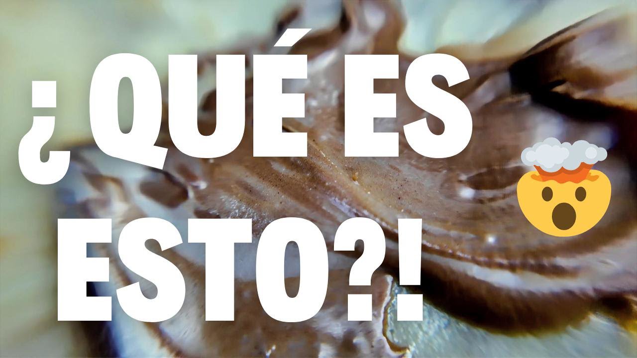 🥞 Receta de Crepes Fáciles y Rápidos | Perfectos Siempre