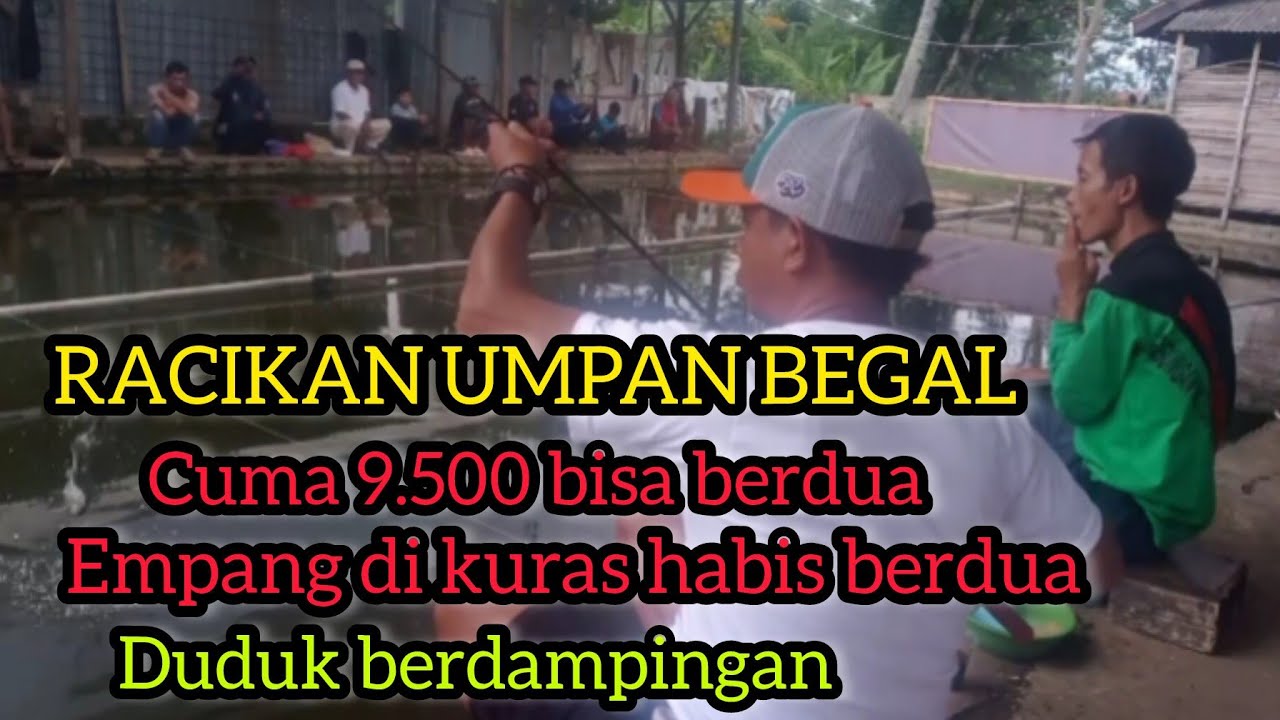 RACIKAN UMPAN PELET JITU TERKEJAM KAYA BEGAL‼️CUMA 9.500 BISA BERDUA‼️TANPA ESSEN DAN KROTO